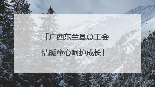 广西东兰县总工会情暖童心呵护成长