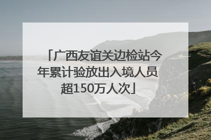 广西友谊关边检站今年累计验放出入境人员超150万人次