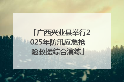 广西兴业县举行2025年防汛应急抢险救援综合演练