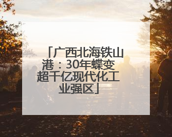 广西北海铁山港：30年蝶变超千亿现代化工业强区
