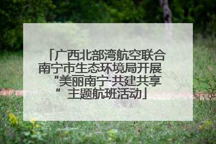 广西北部湾航空联合南宁市生态环境局开展“美丽南宁·共建共享”主题航班活动