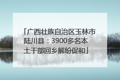 广西壮族自治区玉林市陆川县：3900多名本土干部回乡解纷促和