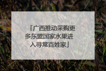 广西推动采购更多东盟国家水果进入寻常百姓家