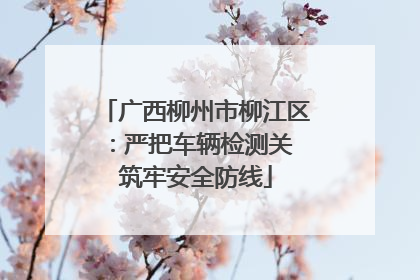 广西柳州市柳江区：严把车辆检测关 筑牢安全防线