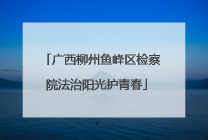 广西柳州鱼峰区检察院法治阳光护青春