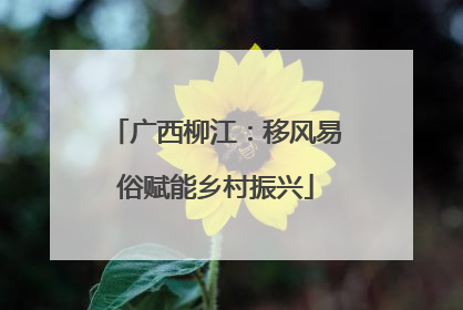 广西柳江：移风易俗赋能乡村振兴