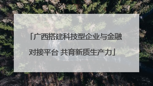 广西搭建科技型企业与金融对接平台 共育新质生产力