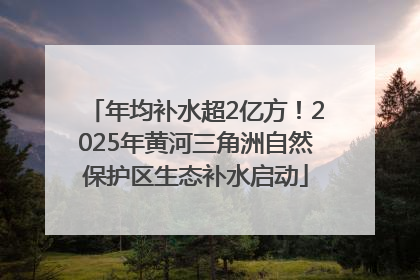 年均补水超2亿方！2025年黄河三角洲自然保护区生态补水启动