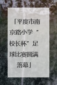 平度市南京路小学“校长杯”足球比赛圆满落幕