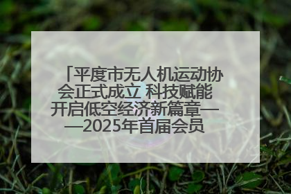 平度市无人机运动协会正式成立 科技赋能开启低空经济新篇章——2025年首届会员大会暨无人机应用发展论坛成功举办