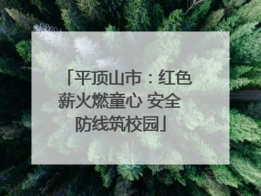 平顶山市：红色薪火燃童心 安全防线筑校园