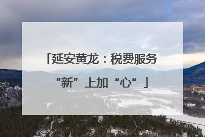 延安黄龙：税费服务“新”上加“心”