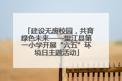 建设无废校园，共育绿色未来——望江县第一小学开展“六五”环境日主题活动