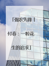 强农先锋丨付春：一粒花生的追求