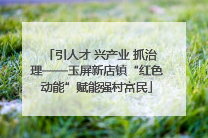 引人才 兴产业 抓治理——玉屏新店镇“红色动能”赋能强村富民