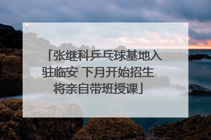 张继科乒乓球基地入驻临安 下月开始招生将亲自带班授课