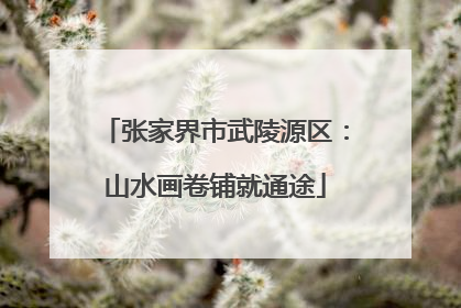 张家界市武陵源区：山水画卷铺就通途