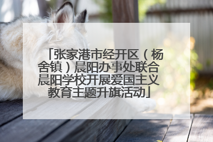 张家港市经开区（杨舍镇）晨阳办事处联合晨阳学校开展爱国主义教育主题升旗活动
