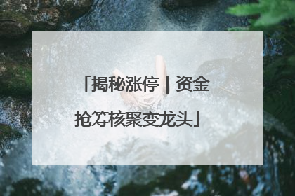 揭秘涨停｜资金抢筹核聚变龙头