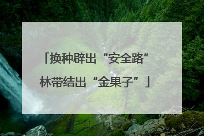 换种辟出“安全路” 林带结出“金果子”