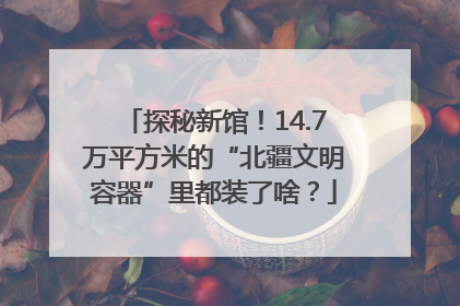 探秘新馆！14.7万平方米的“北疆文明容器”里都装了啥？
