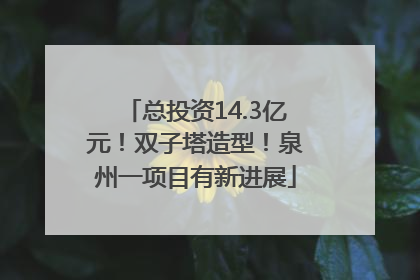 总投资14.3亿元！双子塔造型！泉州一项目有新进展