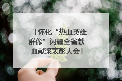 怀化“热血英雄群像”闪耀全省献血献浆表彰大会