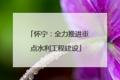 怀宁：全力推进重点水利工程建设