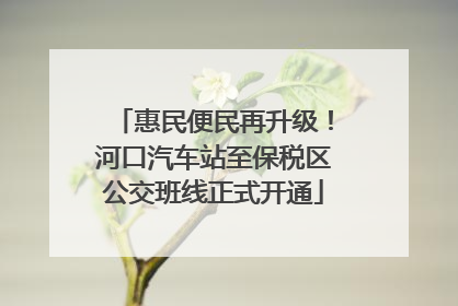 惠民便民再升级！河口汽车站至保税区公交班线正式开通