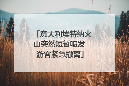 意大利埃特纳火山突然短暂喷发 游客紧急撤离