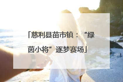 慈利县苗市镇：“绿茵小将”逐梦赛场
