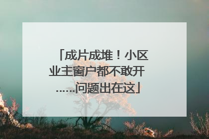 成片成堆！小区业主窗户都不敢开……问题出在这