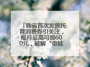 我省首次发放托育消费券引关注，每月最高可领600元，破解“带娃难” 如何不负所“托”？