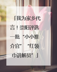 我为家乡代言！崇阳评选一批“小小推介官”“红领巾讲解员”