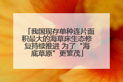 我国现存单种连片面积最大的海草床生态修复持续推进 为了“海底草原”更繁茂