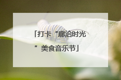 打卡“廊洽时光”美食音乐节