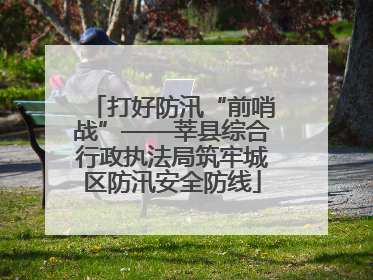 打好防汛“前哨战”——莘县综合行政执法局筑牢城区防汛安全防线
