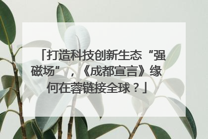 打造科技创新生态“强磁场”，《成都宣言》缘何在蓉链接全球？