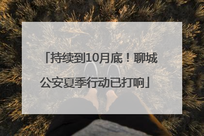 持续到10月底！聊城公安夏季行动已打响