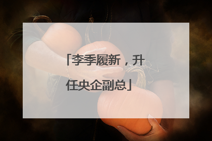 李季履新，升任央企副总