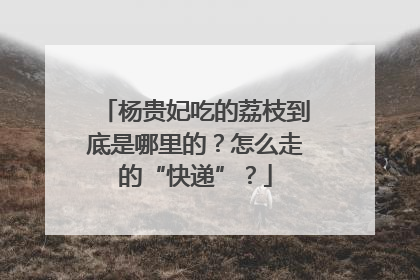 杨贵妃吃的荔枝到底是哪里的？怎么走的“快递”？
