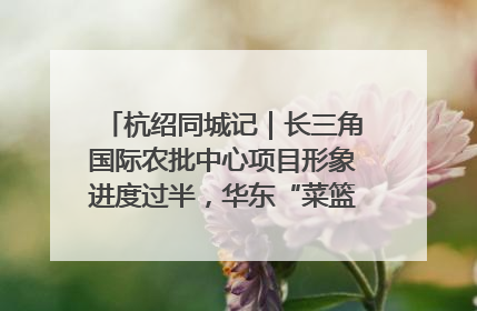 杭绍同城记｜长三角国际农批中心项目形象进度过半，华东“菜篮子”建设加码提速！