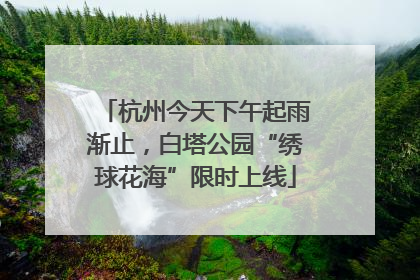 杭州今天下午起雨渐止，白塔公园“绣球花海”限时上线