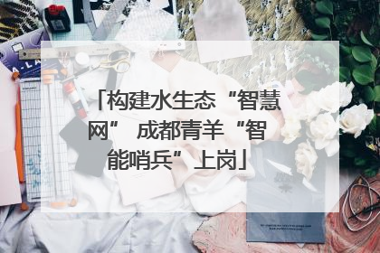 构建水生态“智慧网” 成都青羊“智能哨兵”上岗