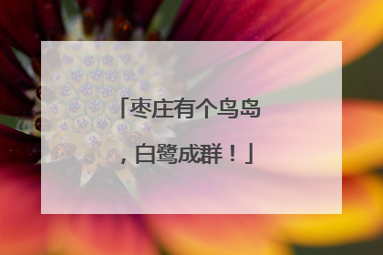 枣庄有个鸟岛，白鹭成群！