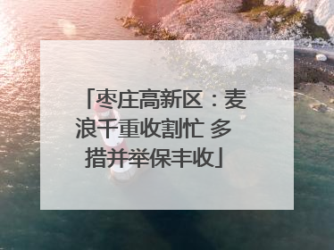 枣庄高新区：麦浪千重收割忙 多措并举保丰收