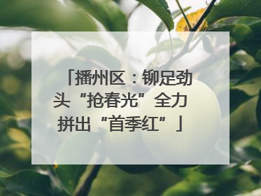 播州区：铆足劲头“抢春光”全力拼出“首季红”