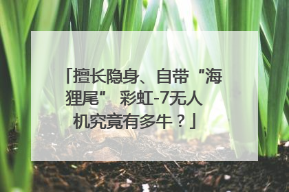 擅长隐身、自带“海狸尾” 彩虹-7无人机究竟有多牛？