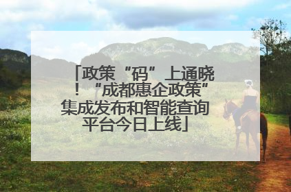 政策“码”上通晓！“成都惠企政策”集成发布和智能查询平台今日上线