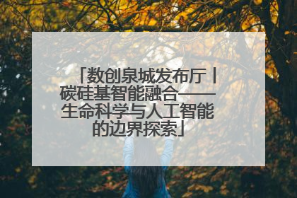 数创泉城发布厅丨碳硅基智能融合——生命科学与人工智能的边界探索